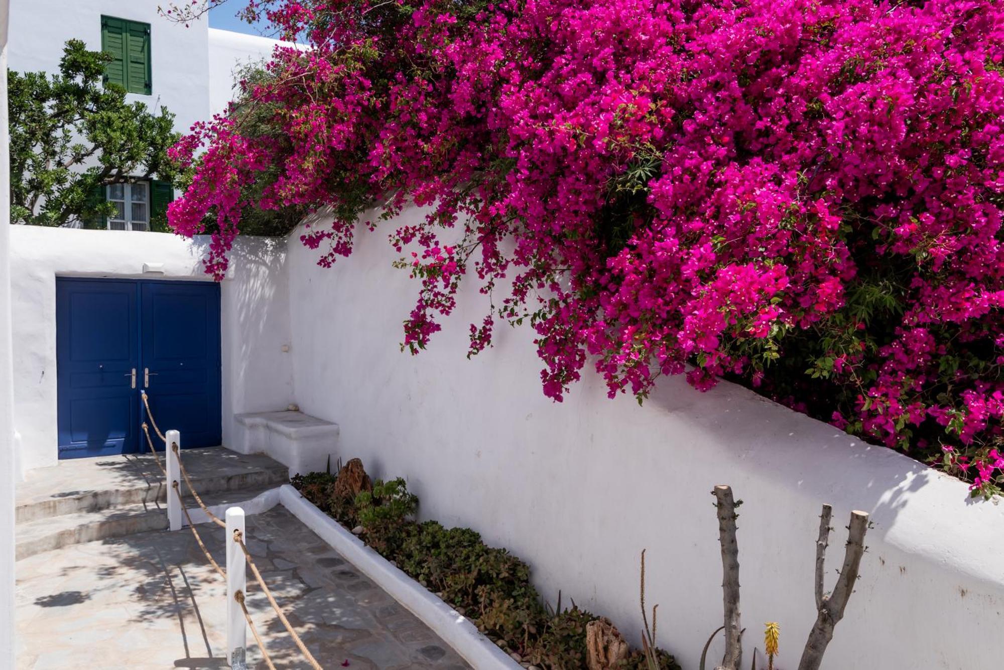 Olive Tree Mykonos Town Semi-Basement Apartment المظهر الخارجي الصورة